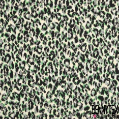 Dentelle polyester élasthanne zébrure blanc vert brésil