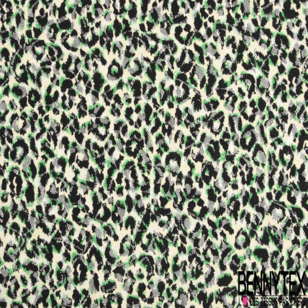 Dentelle polyester élasthanne zébrure blanc vert brésil