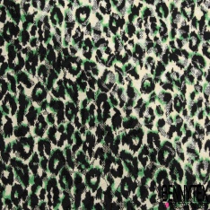 Dentelle polyester élasthanne zébrure blanc vert brésil