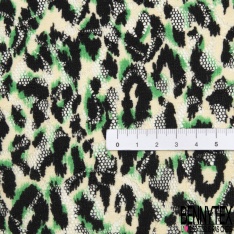 Dentelle polyester élasthanne zébrure blanc vert brésil