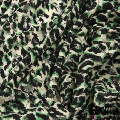 Dentelle polyester élasthanne zébrure blanc vert brésil