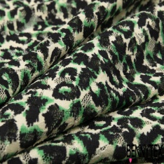 Dentelle polyester élasthanne zébrure blanc vert brésil