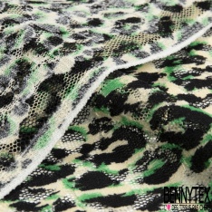 Dentelle polyester élasthanne zébrure blanc vert brésil