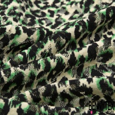 Dentelle polyester élasthanne zébrure blanc vert brésil