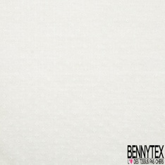 Jersey coton fin imprimé rayure horizontale opaque transparente ton sur ton blanc optique
