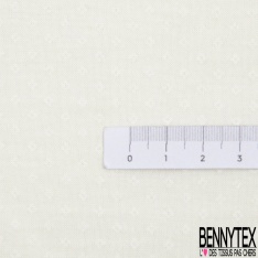 Jersey coton fin imprimé rayure horizontale opaque transparente ton sur ton blanc optique
