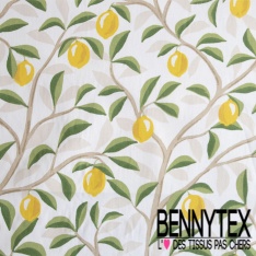 Toile lorraine impression coccinelle rigolote étoile fond blanc optique