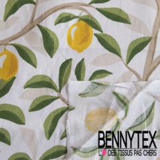 Toile lorraine impression coccinelle rigolote étoile fond blanc optique
