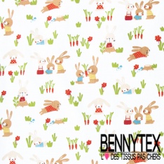 Toile lorraine impression fruit et animaux kawai fond blanc optique