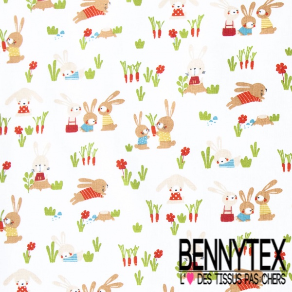 Toile lorraine impression fruit et animaux kawai fond blanc optique