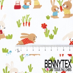 Toile lorraine impression fruit et animaux kawai fond blanc optique