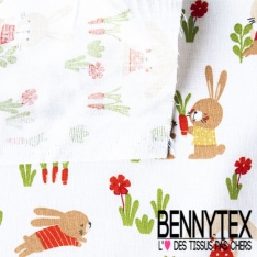 Toile lorraine impression fruit et animaux kawai fond blanc optique
