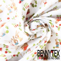 Toile lorraine impression fruit et animaux kawai fond blanc optique