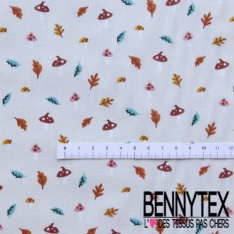 Toile lorraine impression petit ours marin pêcheur fond blanc optique