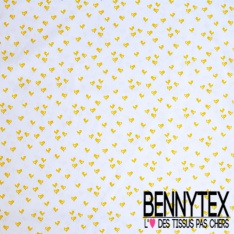 Toile lorraine impression ballon de baudruche festif fond blanc optique