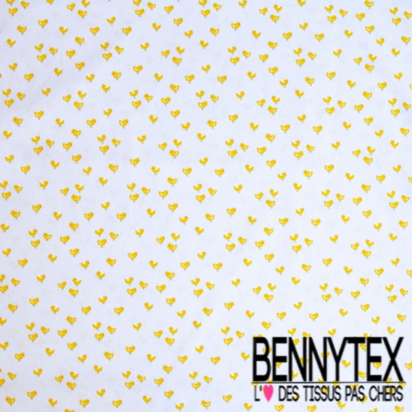 Toile lorraine impression ballon de baudruche festif fond blanc optique
