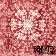 Coton enduit imprimé floral folklorique multicolore fond noir mat