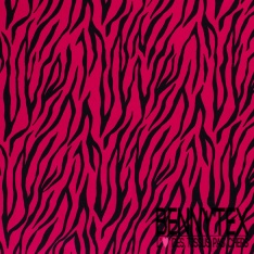 Satin coton élasthanne imprimé zèbre noir fond blanc cassé oeko tex