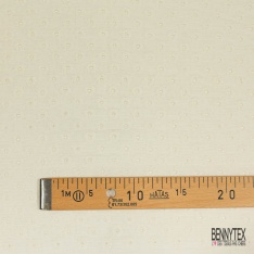 Double gaze de coton broderie anglaise blanc cassé