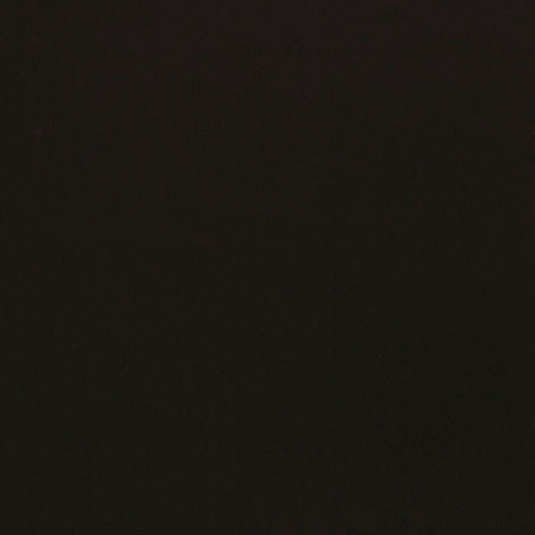 Molleton Gratté Double Face Uni bison