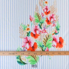 voile de coton swiss base milieu pastel color fond blanc