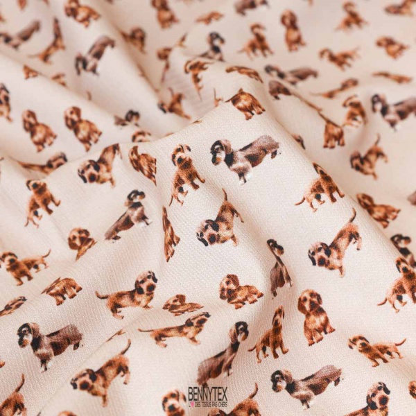 velours de coton enfant 1000 raie petit chien chien fond beige trop mimi