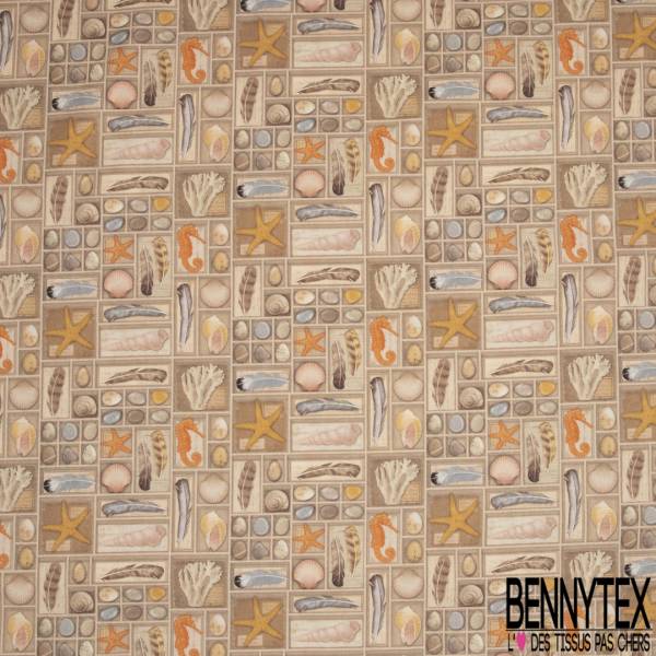 Coton Impression Boite Petit Trésor Marin Etoile de Mer Coquillage Hyppocampe