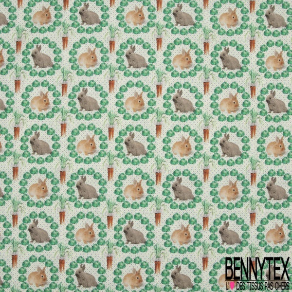 Coton imprimé digital motif lapins beige et gris carottes oranges et laitues vertes Fond blanc à pois gris et vert