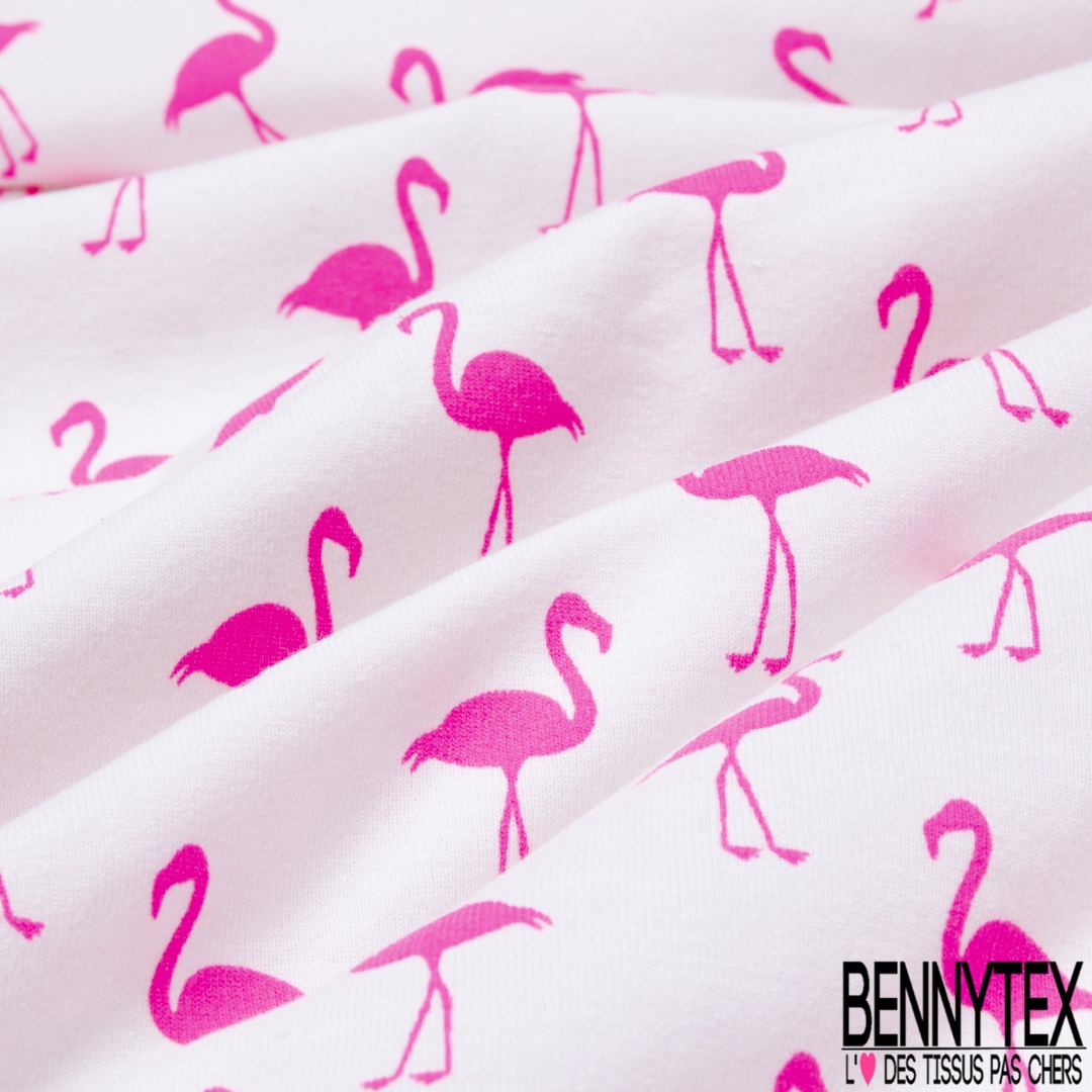 Jersey Coton Elasthanne Imprime Flamand Rose Fluo Fond Blanc Bennytex Vente De Tissus Pas Cher Au Metre Jersey Coton Elasthanne Imprime Flamand Rose Fluo Fond Blanc Bennytex Vente De Tissus Pas Cher Au Metre
