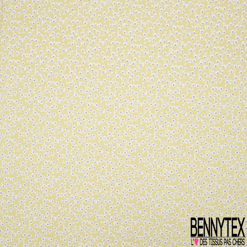 Coton Imprime Motif Toute Petite Fleur De Cerisier Entremelees Blanche Fond Anis Givre Bennytex Vente De Tissus Pas Cher Au Coton Imprime Motif Toute Petite Fleur De Cerisier Entremelees Blanche Fond Anis Givre Bennytex Vente De Tissus Pas Cher Au