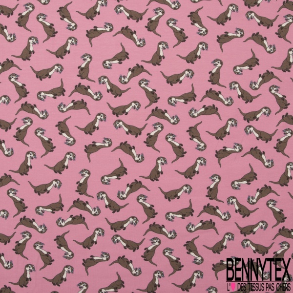 Jersey Coton Elasthanne motif loutre rigolote fond rose maritime