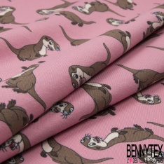 Jersey Coton Elasthanne motif loutre rigolote fond rose maritime