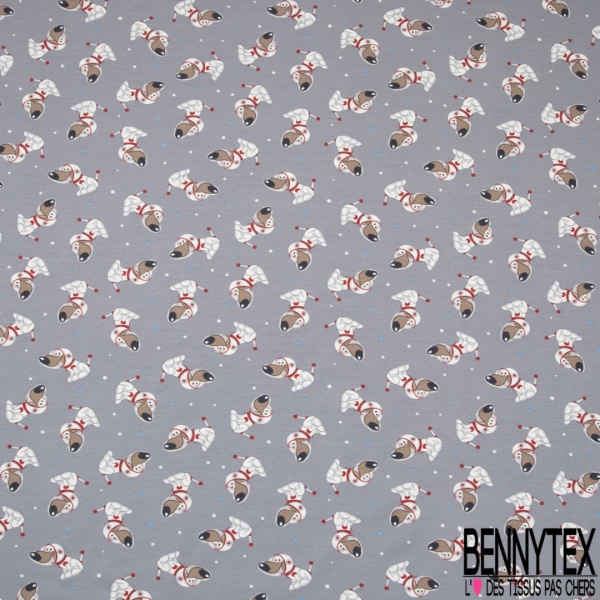Jersey Coton Elasthanne motif chien cosmonaute fantaisie fond zeste vert
