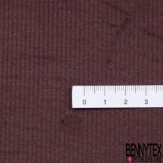 Velours coton 500 raies élasthanne dulcamara