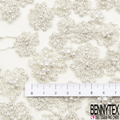 Dentelle Haute Couture brodée lurex fils cendre de bois argent perlée festonnée double base ton cendre de bois