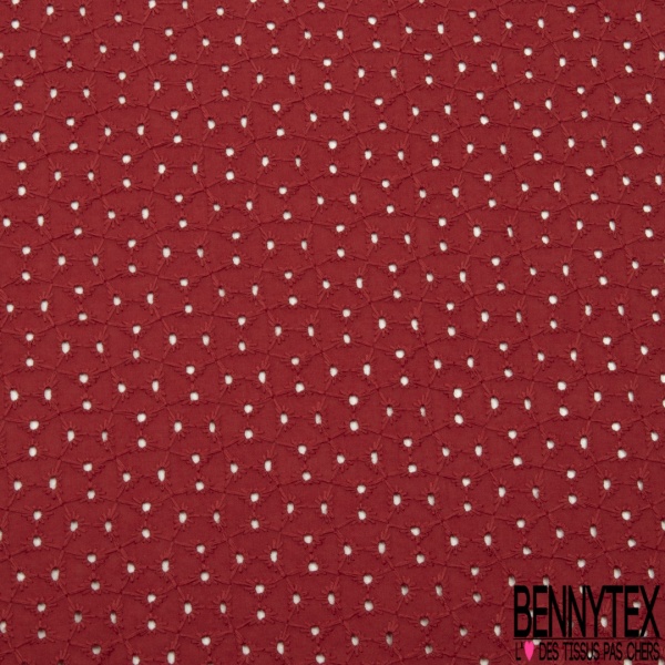 Broderie anglaise coloris boa motif petit trou relié par broderie ton sur ton