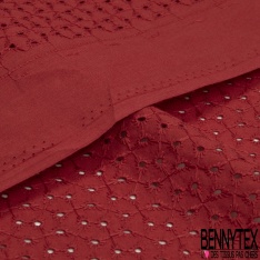 Broderie anglaise coloris boa motif petit trou relié par broderie ton sur ton