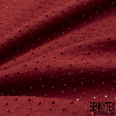 Broderie anglaise coloris boa motif petit trou relié par broderie ton sur ton