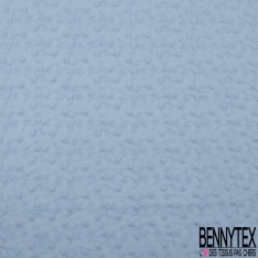 Broderie anglaise double base festonnée motif petite fleur champêtre ton sur ton chicorée