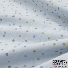 Jersey coton gaze élasthanne imprimé dot pastel multicolore fond vert d 'eau