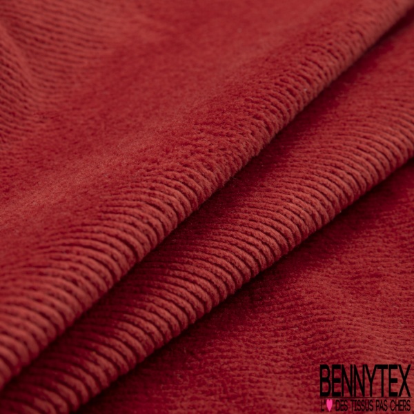 Jersey velours 500 raies élasthanne cinabre