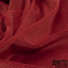 Jersey velours 500 raies élasthanne cinabre