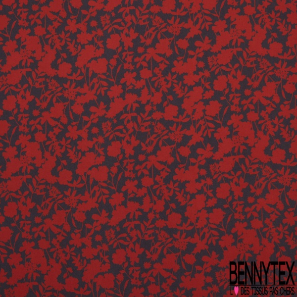 Fibranne viscose simple base cachemire imprimé rayure fantaisie amérindien horizontale multicolore et noir et blanc